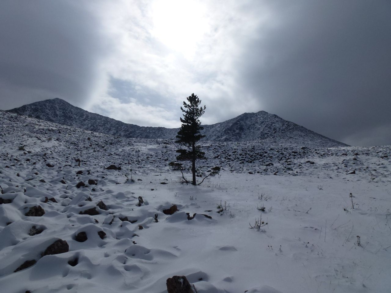 Борус. Восхождение : Красноярск и Красноярский край (Тур в горы) тур по  цене от 10 000 ₽ · YouTravel.Me