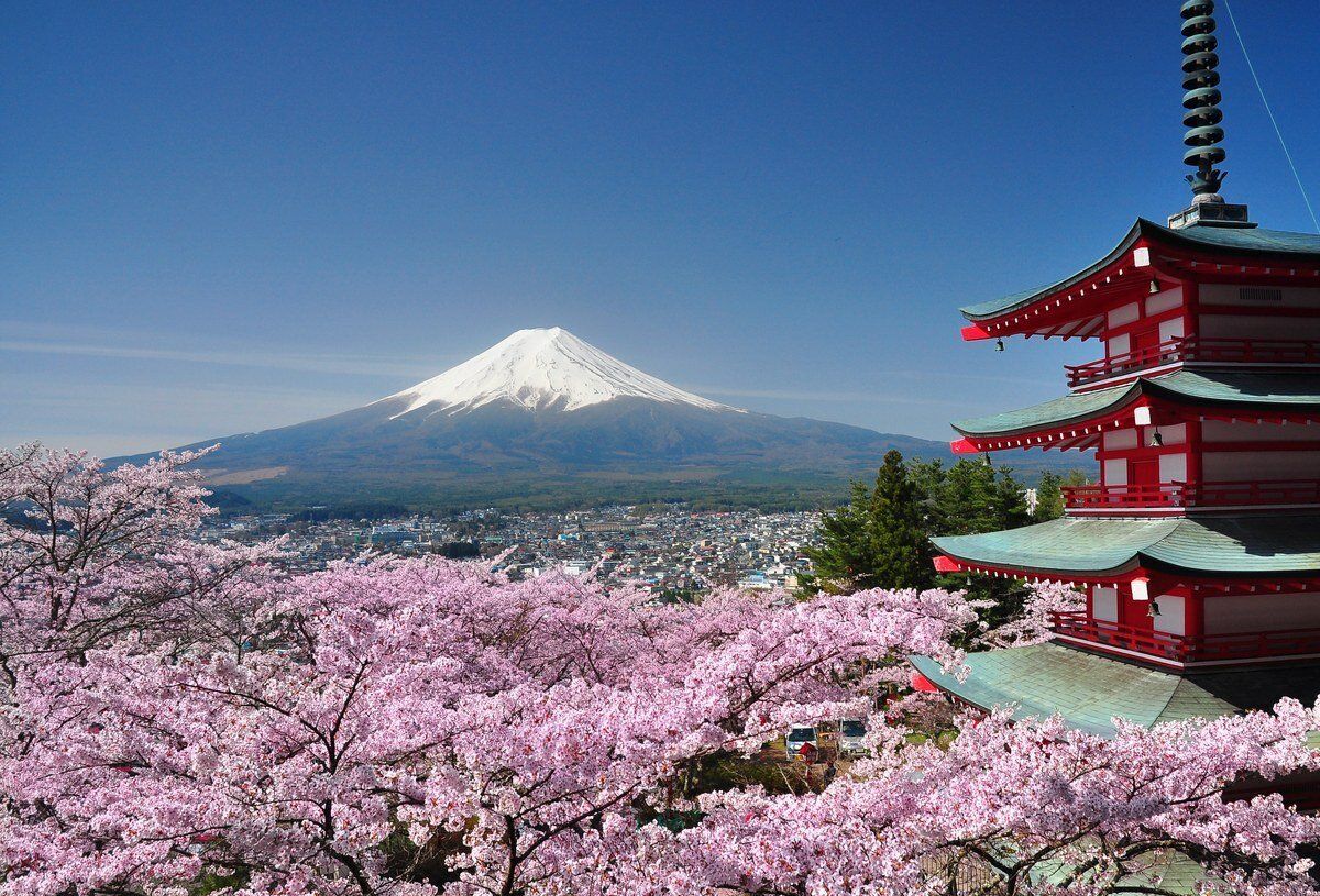 Japan: cherry blossoms and Mount Fuji