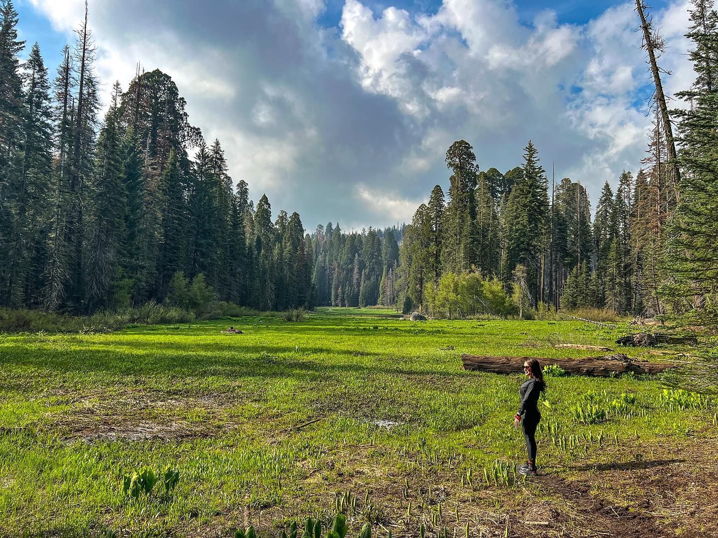 HIKING CAMP - походы по Калининградской области с комфортом