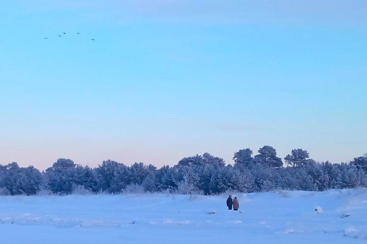 Зимний Архангельск и Белое море, 5 дней : Архангельск и Архангельская  область (Экскурсионный) тур по цене от 42 900 ₽ · YouTravel.Me