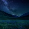 Репетиция Черной пятницы