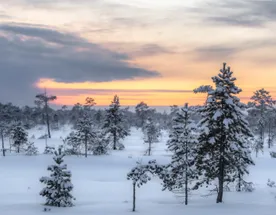 Онежское Поморье: чудеса первозданной природы севера