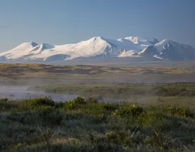 Тур на плато Укок 6 дней