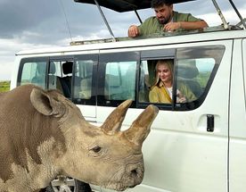 Белые носороги: сафари-тур в Кению и отдых на океане