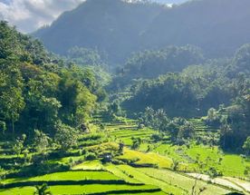 Бали + о.Нуса Пенида + Круиз на яхте по райским островам Гили!