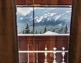 Австрийские каникулы