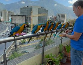 Венесуэла - большое путешествие в затерянные миры