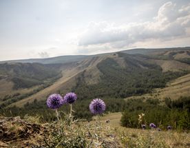 Хребет Нурали и озеро Тургояк