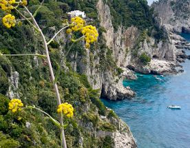 Страна Лимония: Амальфитанское побережье и Неаполь