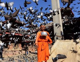 Непал. Трек вокруг Аннапурны