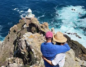 Влюбиться в Кейптаун. Сафари, пингвины