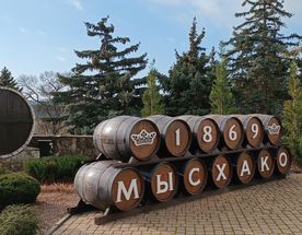 Лучшие винодельни Геленджика и Новороссийска