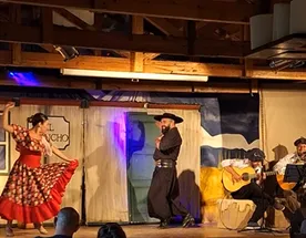 Патагония И Остров Пасхи