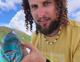 Ваше лучшее путешествие по уединенным уголкам Сейшел!