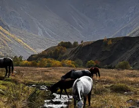 3 осенних дня в прекрасной Осетии. Золотая пора.