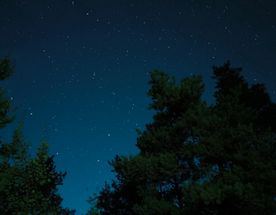 Горы, звезды, танец. Арт-тур в Архыз для настоящих романтиков