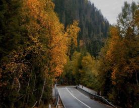 Тур Домбай 3 дня: природа на Кавказе