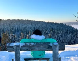 Карельская сказка. Лучшие места и Глэмпинг с панорамным видом
