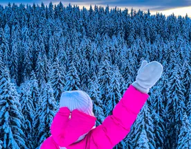 Новый год в Карельской сказке