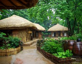 Авторский тур в Сеул Программа здоровья 24-31 Марта 2026