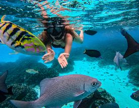 Туры На Мальдивы. Все Включено в Новом отеле