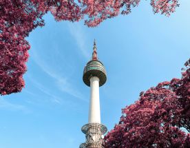 Сокровища Южной Кореи