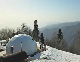 Новогодний тур в Абхазию