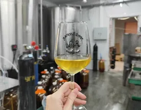 Псковские каникулы