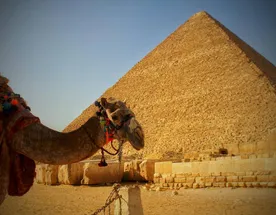 Египет. От пирамид до кораллов.