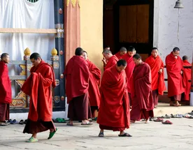 Гималайский дуэт