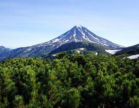 Открытие Камчатки за 10 дней