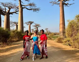 Цинги Бемараха и национальный парк Андасибе