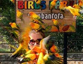 Йога ретрит на Шри Ланке