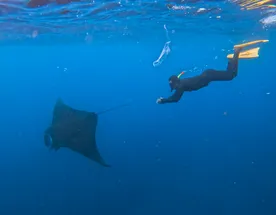Перезагрузка на острове Нуса Пенида
