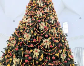 Клин на Рождество, и итальянцы в России