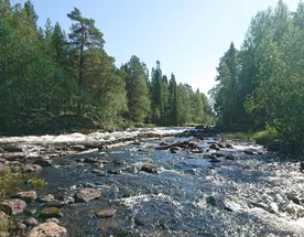 Сплав по реке Кереть с выходом в Белое море