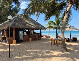 Насыщенная Кругосветка по Шри-Ланке за 8 дней