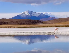 Перу, Боливия, Чили. Большое путешествие по Южной Америке
