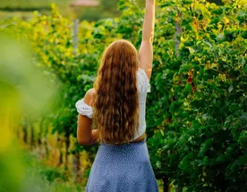 Майские каникулы в Азербайджане / 8 дней 7 ночей