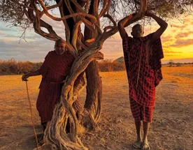 Почувствовать вайб Кении: Африканский ритм,океан и сафари