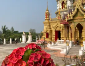 Мототур по Северному Таиланду - 7 дней, 1864 поворота приключений, февраль 2026