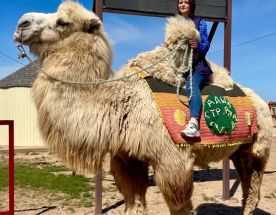 Калмыкия Фестиваль тюльпанов