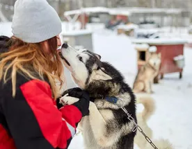 Февральская симфония в Карелии