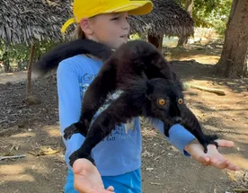 Мадагаскар: Север дикий и прекрасный.