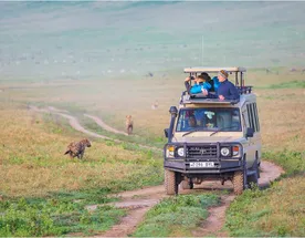 Джип-Сафари По Танзании И Отдых На Занзибаре