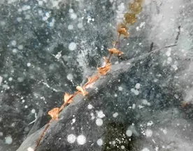 В поисках первого льда