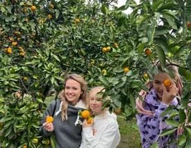 Тур по лучшим местам Сочи и Абхазии