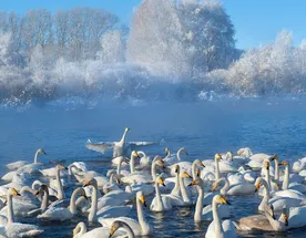 Зимний Алтай