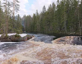 Майский сплав по Уксе
