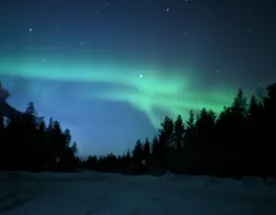 Кольский в гости к китам